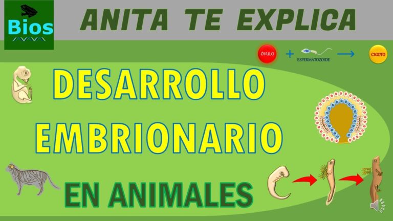 Fases del desarrollo de los animales - Todo sobre Animales y Bichos