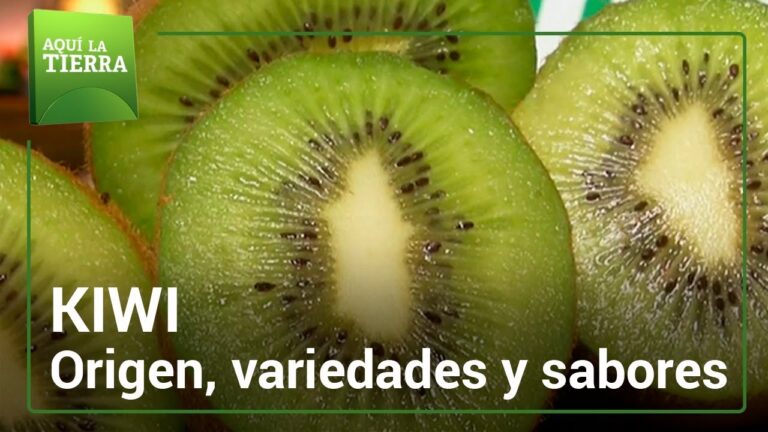 Origen del kiwi: ¿De dónde proviene esta fruta? - Todo sobre Animales y