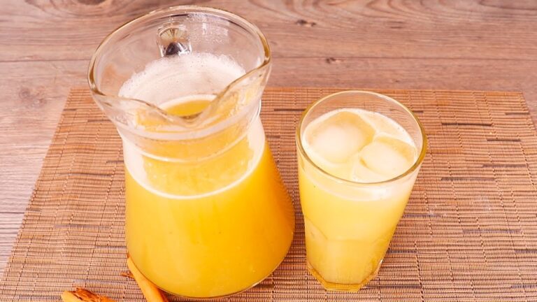 Preparación de refresco de manzana hervida - Todo sobre Animales y Bichos
