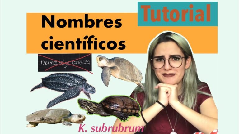 Cómo se escribe un nombre científico Todo sobre Animales y Bichos