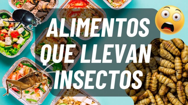Tipos de alimentación en los insectos - Todo sobre Animales y Bichos